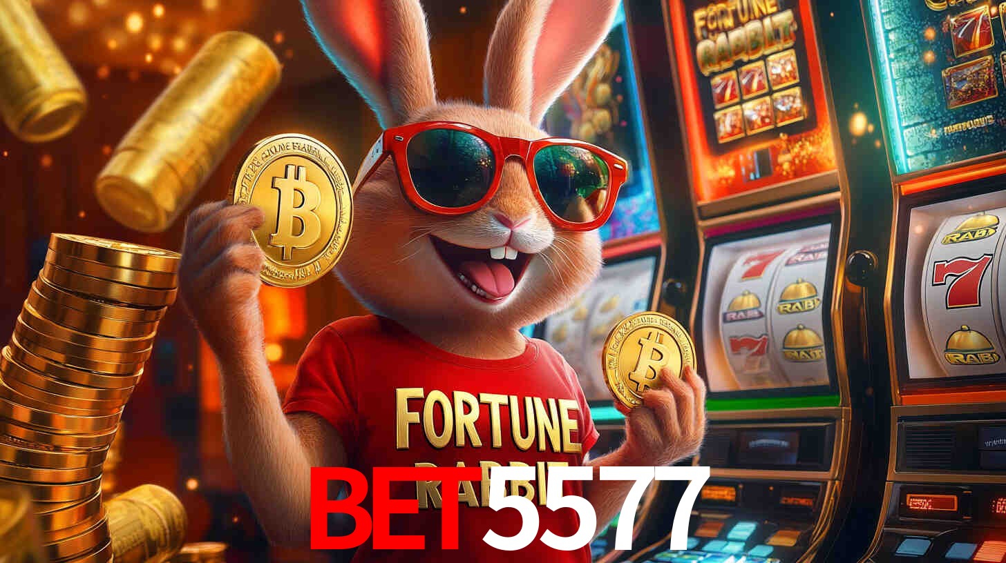 A Experiência Imersiva dos Cassinos Ao Vivo no bet5577